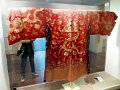 mus_sus_064