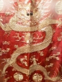 mus_sus_065