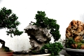 jar_simple_029