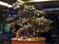 jar_simple_057