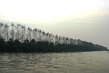 canal_imperial_023