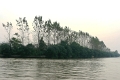 canal_imperial_025