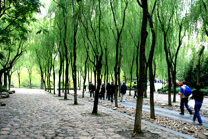 hangzhou_lac_001.JPG - Une promenade particulièrement agréable