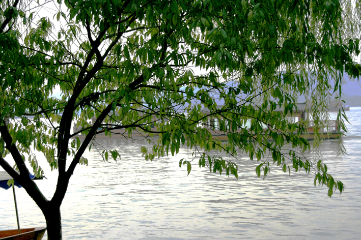 hangzhou_lac_014.JPG - Une promenade particulièrement agréable