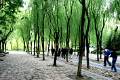 hangzhou_lac_001