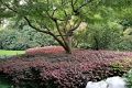 hangzhou_lac_004