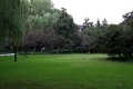 hangzhou_lac_005