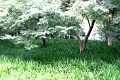 hangzhou_lac_009