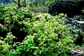 hangzhou_lac_072
