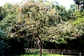 hangzhou_lac_082