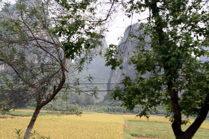 nature_051.JPG - Paysage Kartsique