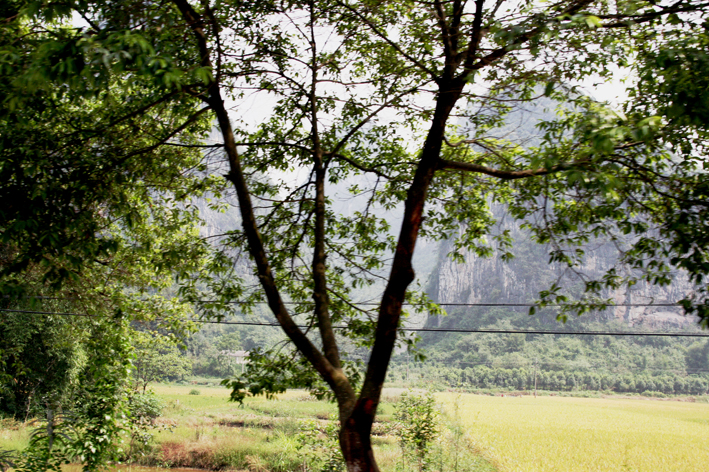 nature_056.JPG - Paysage Kartsique