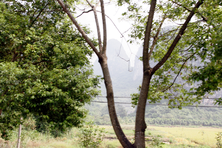 nature_058.JPG - Paysage Kartsique