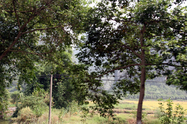 nature_059.JPG - Paysage Kartsique