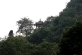 nature_001