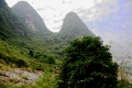 nature_006