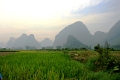 nature_015