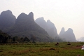 nature_017