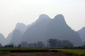 nature_020