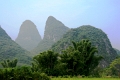 nature_021