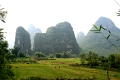 nature_028