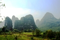 nature_030