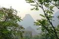 nature_034