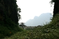 nature_037