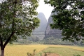 nature_050