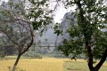 nature_051