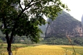 nature_053