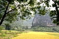 nature_054