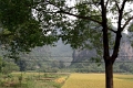 nature_055