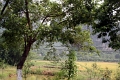 nature_057