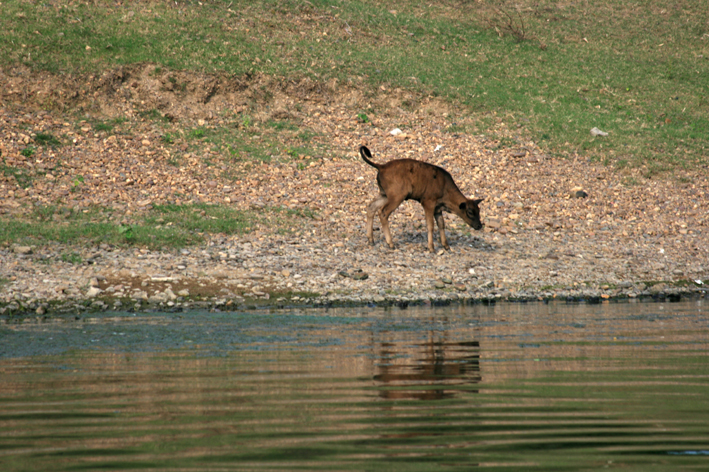 croisiere-014.JPG