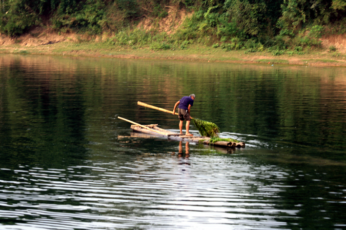croisiere-032.JPG - Récolte des herbes poussant au fond de la rivière