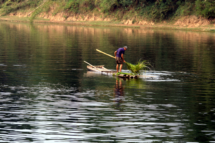 croisiere-034.JPG - Récolte des herbes poussant au fond de la rivière
