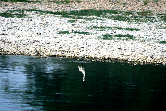 croisiere-045.JPG