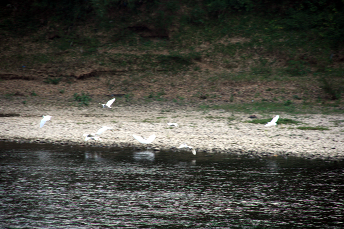 croisiere-094.JPG
