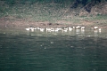 croisiere-022