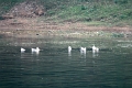croisiere-023