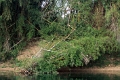 croisiere-028
