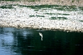 croisiere-045