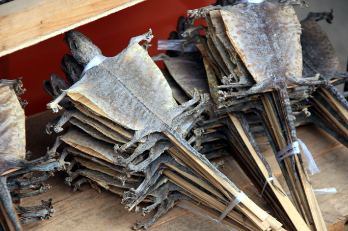 commerces_009.JPG - Endore des tortues