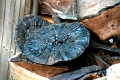 commerces_004