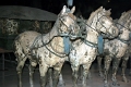 armee_enterree_077