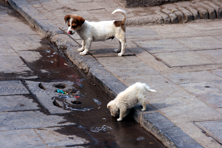 pingyao_020.JPG