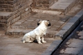 pingyao_010
