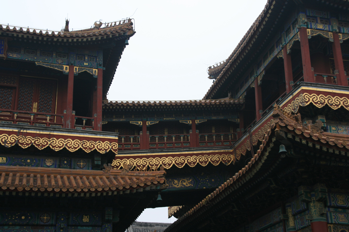 pekin-lamas_021.JPG