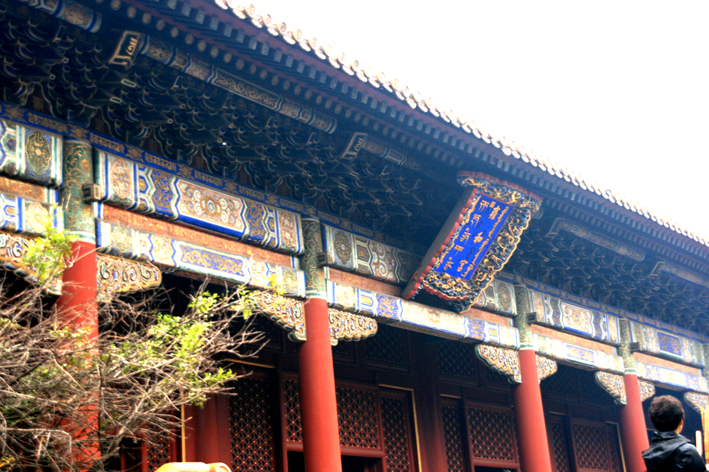 pekin-lamas_024.JPG